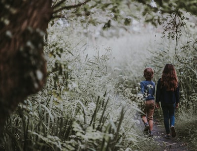 Girls and boys walking in the forest path
